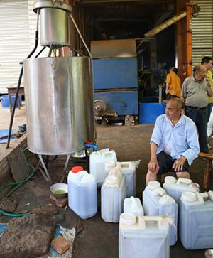 榨油機使用現場